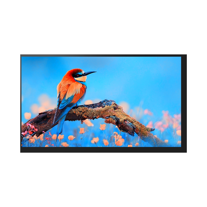 10.1 inch (1280x800) resolution TFT LCD display modules with LVDS interface