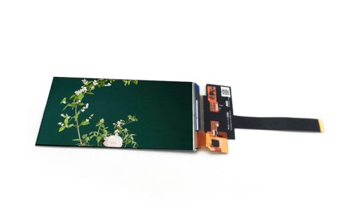 5-inch amoled display module main image
